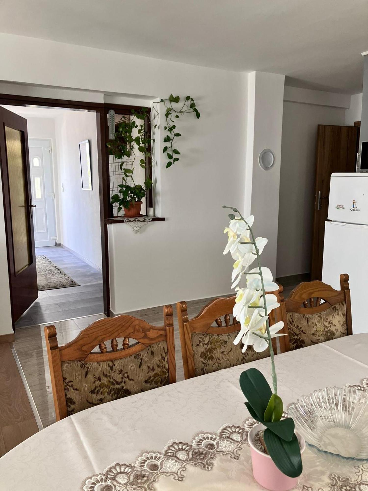 App Martina Apartment Драмал Екстериор снимка